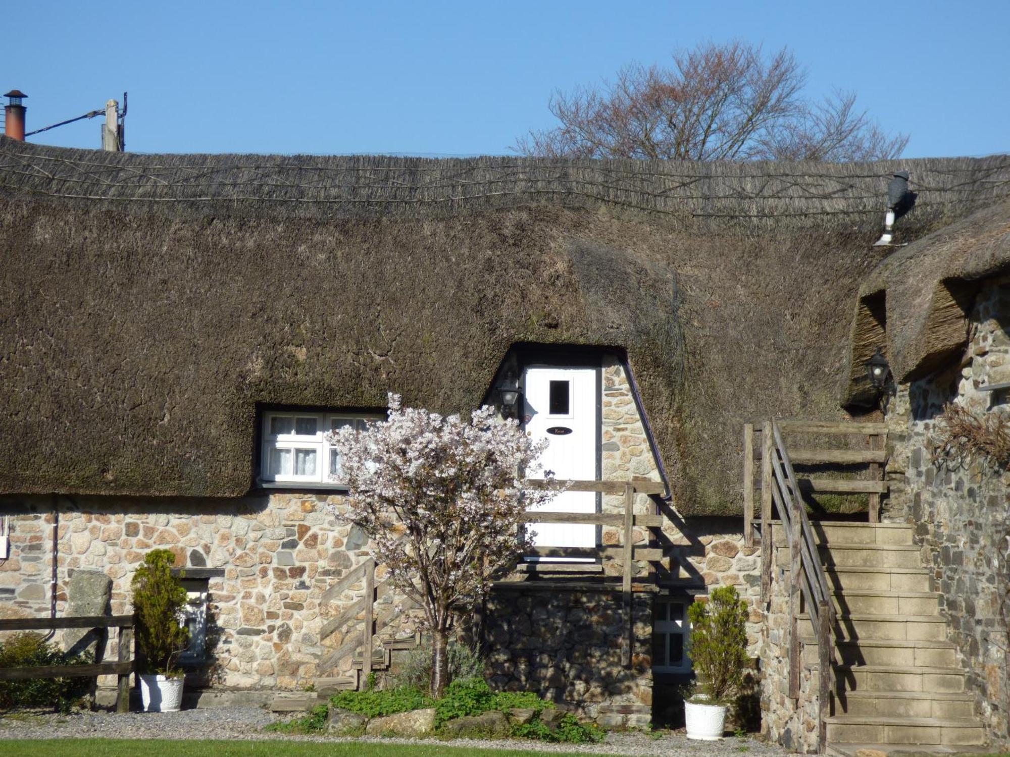 Bearslake Inn Bridestowe ภายนอก รูปภาพ
